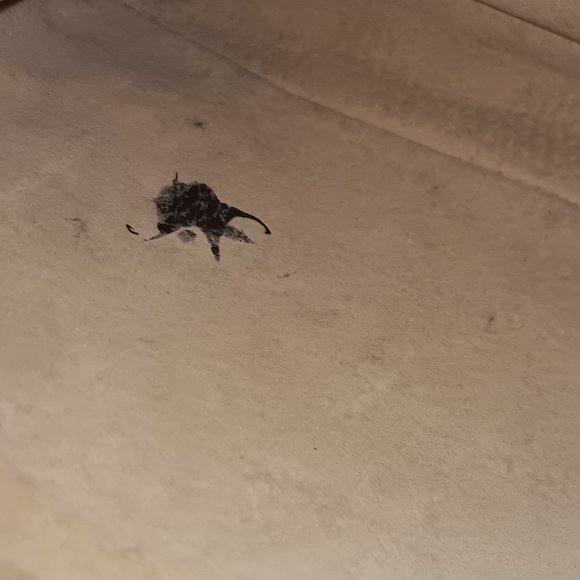 Luis Vutton Pochette - Picture 7 of 7